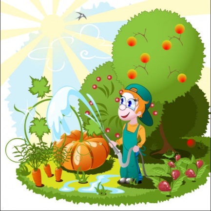 Arroser le potager